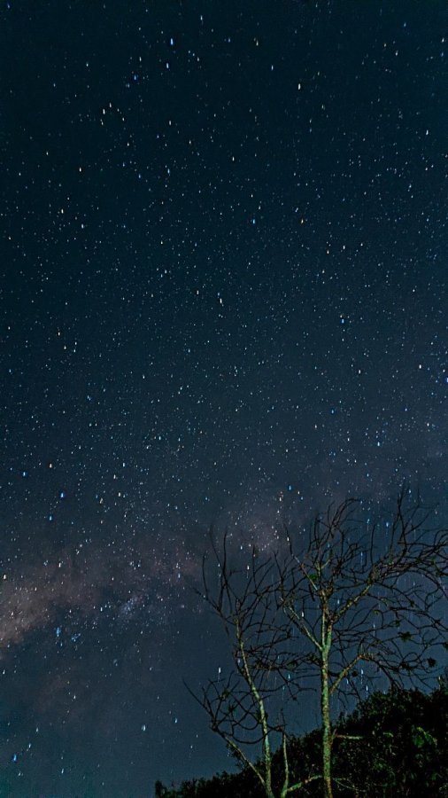 Milk Way