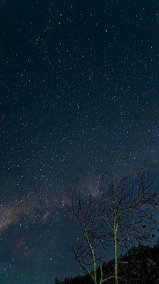 Milk Way